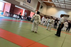 LINE_ALBUM_2025.09.06仙台市5区対抗柔道大会_250908_14